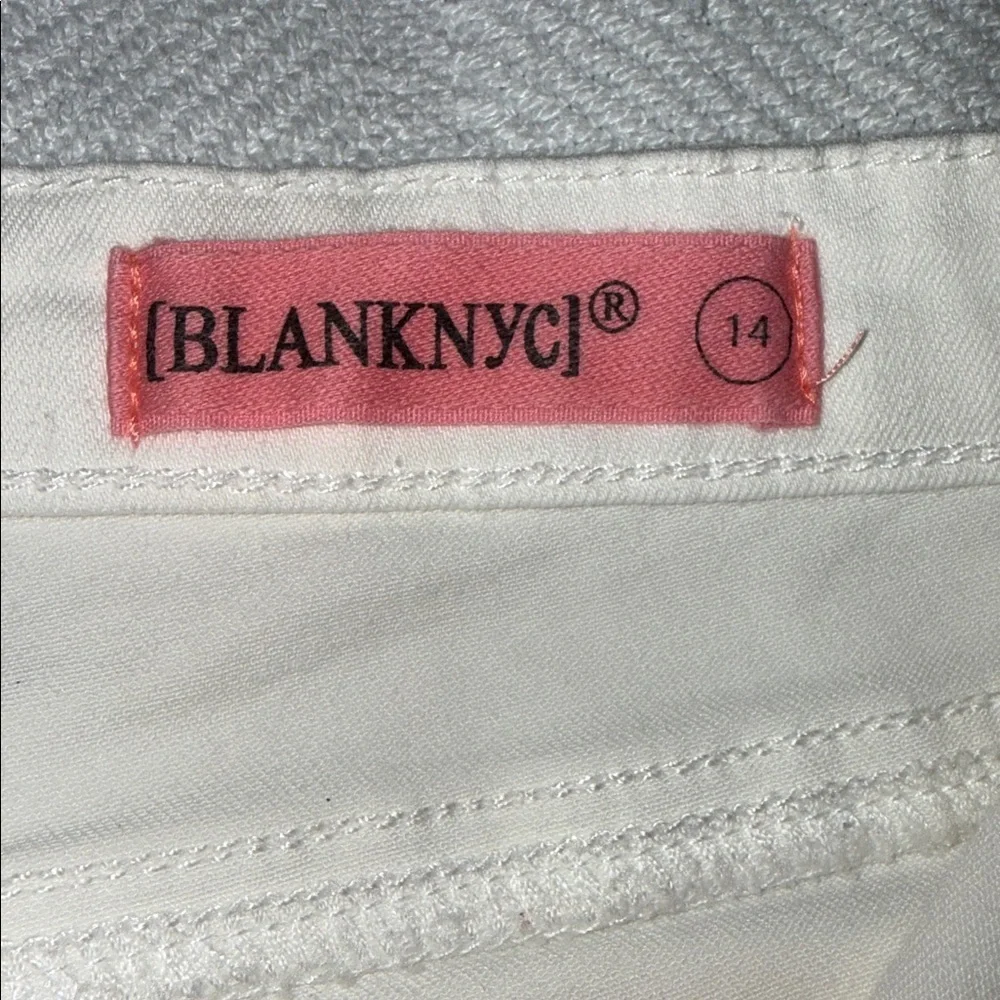 Blank NYC jean shorts